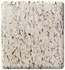 Cole+Co Custom Collection 31" Sahara Beige Granite Countertop