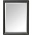 Avanity THOMPSON-M24-CL Thompson 24" Wall Mount Rectangular Framed Beveled Edge Mirror in Charcoal Glaze