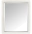 Avanity THOMPSON-M28-FW Thompson 28" Wall Mount Rectangular Framed Beveled Edge Mirror in French White