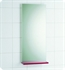 Decotec 114522.2-064 Frameless Rectangular Bathroom Mirror with Wood Veneer Shelf in Macassar Mat Finish