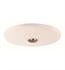 Craftmade LK104-BNK-LED Elegance 1 Light 12 1/2" Bowl Shaped Fan Light Kit in Brushed Polished Nickel