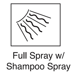 Brizo-Full Spray with Shampoo Spray