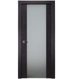 Belldinni AV202-BA Avanti 202 Interior Door in Black Apricot Finish with Frosted Glass