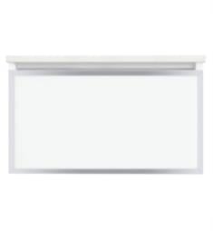 Robern VP30H2D21 Profiles 30 1/8" Wall Mount Bathroom Vanity with Framed Single Glass Drawer