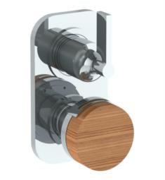 Watermark 21-T25 Elements 3 1/2" Wall Mount Mini Thermostatic Shower Trim with Build-In Control