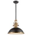 Elk Lighting 66618-1 Chadwick 1 Light 17" Incandescent Pendant in Oil Rubbed Bronze and Satin Brass