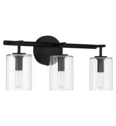 Craftmade 55603 Hailie 3 Light 19 5/8" Incandescent Indoor Bathroom Vanity Light with Clear Glass Shade