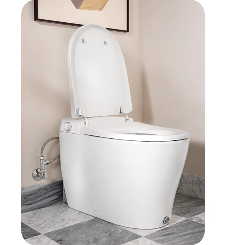 Moen ET2200 5-Series 1.0 GPF One-Piece Elongated Electronic Toilet with  Bidet Cleansing and Remote Control