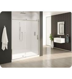Fleurco NHS1-40 Horizon 46" - 60" Frameless In-Line Sliding Shower Door and Fixed Panel with 3/8" Clear Tempered Glass