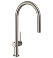Hansgrohe 72857 Tails N 17 1/8