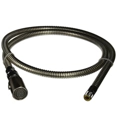 Grohe 46592 Ladylux Pro 8 1/8" Hose and Head